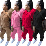 Solid Color Plush Sweatshirt Hoodie Long Pant Two Piece Set TE-4122
