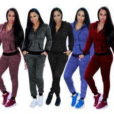 Casual Hooded Zipper Two Piece Pants Set TE-3381