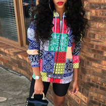 Retro Splice Hooded Zipper Long Sleeve Outwear GLF-8057