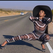 Sexy Mesh See Through Long Sleeve Jumpsuits DMF-8154