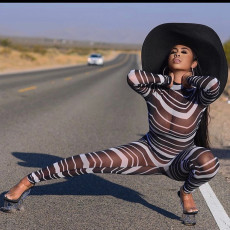 Sexy Mesh See Through Long Sleeve Jumpsuits DMF-8154