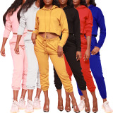 Solid Hoodies Sweatpants Casual Two Piece Set AIL-131