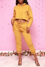 Solid Hoodies Sweatpants Casual Two Piece Set AIL-131