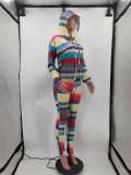 Casual Striped Hooded Two Piece Pants Set HM-6351