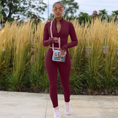 Casual Long Sleeve Tight Two Piece Pants Set MDF-5174