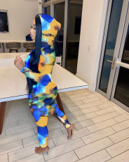 Casual Printed Hooded Zipper 2 Piece Pants Set FNN-8529