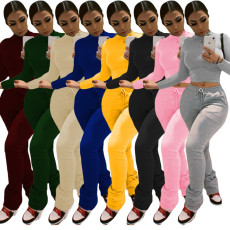 Plus Size Solid Plush Sweatshirt Stacked Pants 2 Piece Set DAI-8286