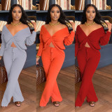 Solid V Neck Long Sleeve Two Piece Pants Set CHY-1265
