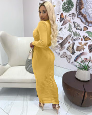 Sexy Mesh Solid Long Sleeve Ruched Maxi Dress BGN-117