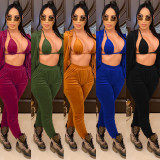 Solid Velvet Hooded Coat And Pants Two Piece Sets CHY-1276
