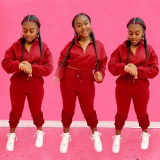Solid Thicken Sweatshirt Two Piece Suits SFY-180