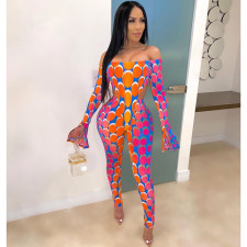 Sexy Printed Slash Neck Bodysuit And Pants 2 Piece Sets SXF-0301