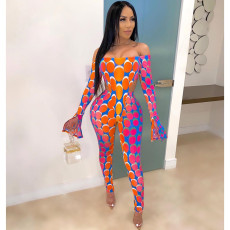 Sexy Printed Slash Neck Bodysuit And Pants 2 Piece Sets SXF-0301