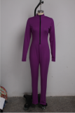 Sexy Long Sleeve Zipper Tight Jumpsuits Without Mask SMR-9732