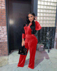 Casual Velvet Hooded Long Sleeve 2 Piece Sets NYF-8025