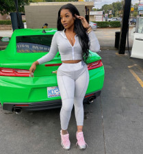 Casual Sportswear Solid Zipper Two Piece Suits XYF-9065