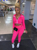 Casual Sportswear Solid Zipper Two Piece Suits XYF-9065