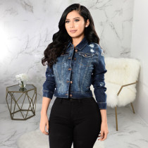 Casual Denim Ripped Full Sleeve Jacket Coat SMR-9822