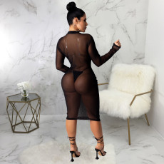 Sexy Mesh See Through Night Club Dress SMR-9883