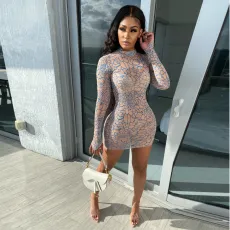 Sexy Mesh Printed Zipper Long Sleeve Mini Dress BS-1240