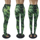 Sexy Printed Legging Pencil Pants SHD-9455