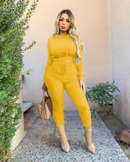 Solid Long Sleeve Hooded Two Piece Pants Set TR-1091