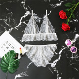 Sexy See Through Underwear Bralette Lingerie Sets YQ-S170