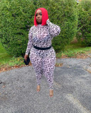 Letter Print Mesh Long Sleeve Two Piece Pants Set SFY-205