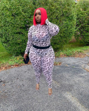 Letter Print Mesh Long Sleeve Two Piece Pants Set SFY-205