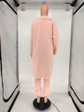 Winter Warm Thicken Plush Long Coat WSM-5213