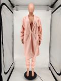 Winter Warm Thicken Plush Long Coat WSM-5213