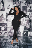 Solid Long Sleeve Bodycon Maxi Dress AIL-147