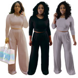 Solid Long Sleeve Two Piece Pants Set SMR-9691