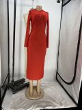 Solid Long Sleeve Bodycon Maxi Dress AIL-147