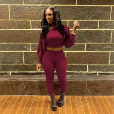 Solid Sexy Off Shoulder Long Sleeve 2 Piece Sets QZX-6179