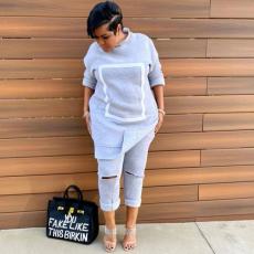 Casual Long Sleeve Plush Two Piece Pants Set OD-8412