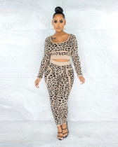 Plus Size Fashion Leopard Print Sports Casual Long Sleeve And Pants 2 Piece Set WAF-7139