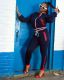 Casual Sports Zipper Jacket And Pants 2 Piece Sets ORY-5182