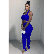 Plus Size Solid Color Hanging Neck Tube Top + Hem Split Pants 2 Piece Set TR-1103