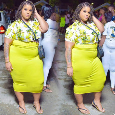 Plus Size Sexy Fashion Print Short Sleeve Long Skirt 2 Piece Set NNWF-7011