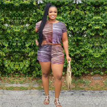Plus Size Stripe Print Short Sleeve Two Piece Sets WAF-7142