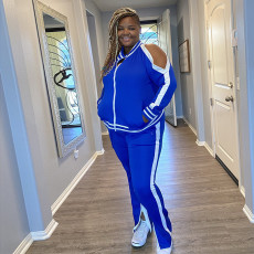 Plus Size Casual Tracksuit Zipper Two Piece Sets OSIF-20999