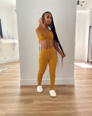 Sexy Solid Ruched Crop Top Pants 2 Piece Suits FNN-8585