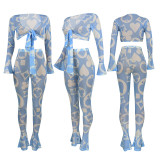 Sexy Printed Mesh Ruffled Two Piece Pants Set YD-8362