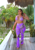 Trendy Printed Swimsuit Mesh Two Piece Set BGN-152