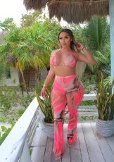 Trendy Printed Swimsuit Mesh Two Piece Set BGN-152