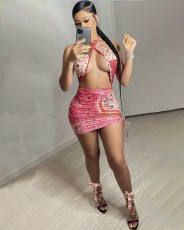 Sexy Printed Halterneck  Mini Dress BGN-150