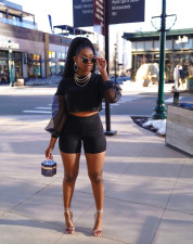 Fashion Casual Spring And Summer Mesh Sleeve  Two Piece Sets BS-1258
