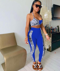 Casual Print Sling Hanging Neck And Pants Two Piece Sets OYF-8246