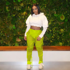 Sexy Mesh See Through Long Pants TE-4234